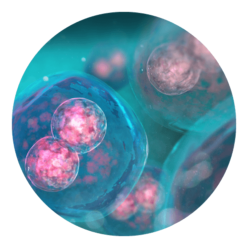 Cord blood stem cells